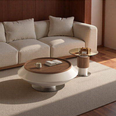 Table basse moderne avec rangement Modern