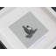 Single Picture Frame Print