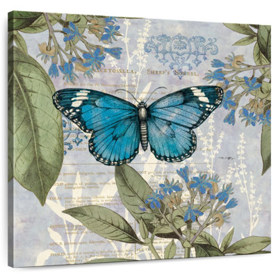 Crowle botanique nature papillon