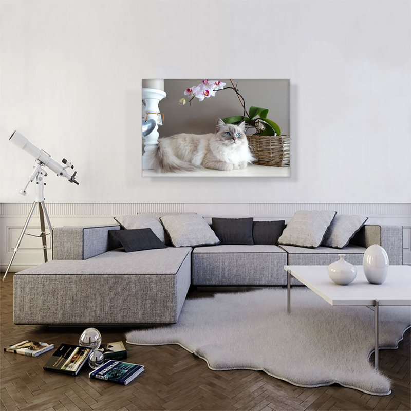 Ragamuffin Home Decor - Reproduction de photo sur toile tendue, H 26 po x l 40 po x 1,5 po