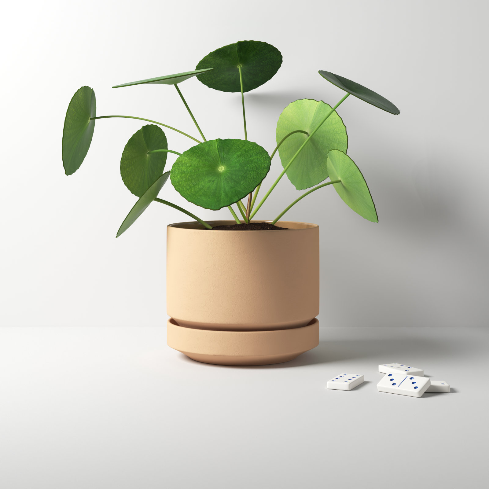 Byer 10" Ceramic Pot Planter, Oatmeal, 6" H x 7" W x 7" D