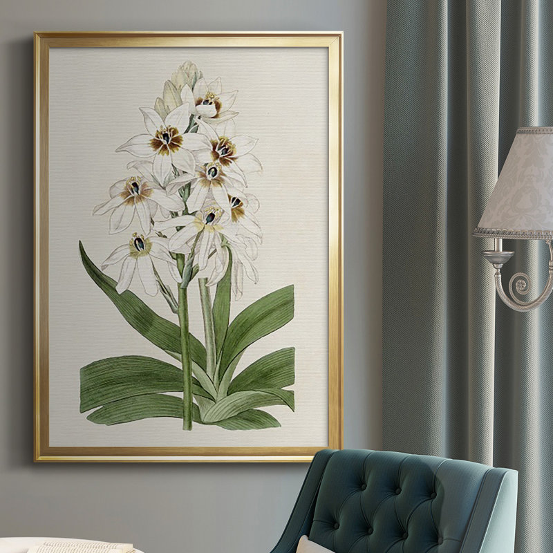 Flore Albo I - Peinture à cadre unique, Or, H 42,5 po x l 30,5 po x P 1 po
