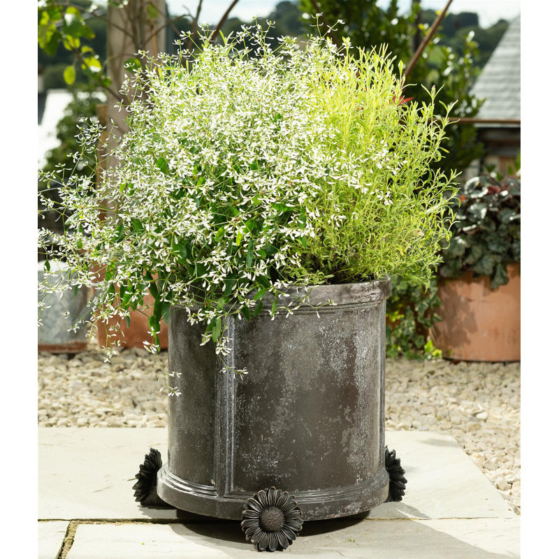 Siri Weather Resistant Planter Feet