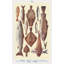 Art sur toile tendu, Beachcrest Home ™-183852629