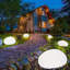 Natural Solar Powered Glass Pathway Light