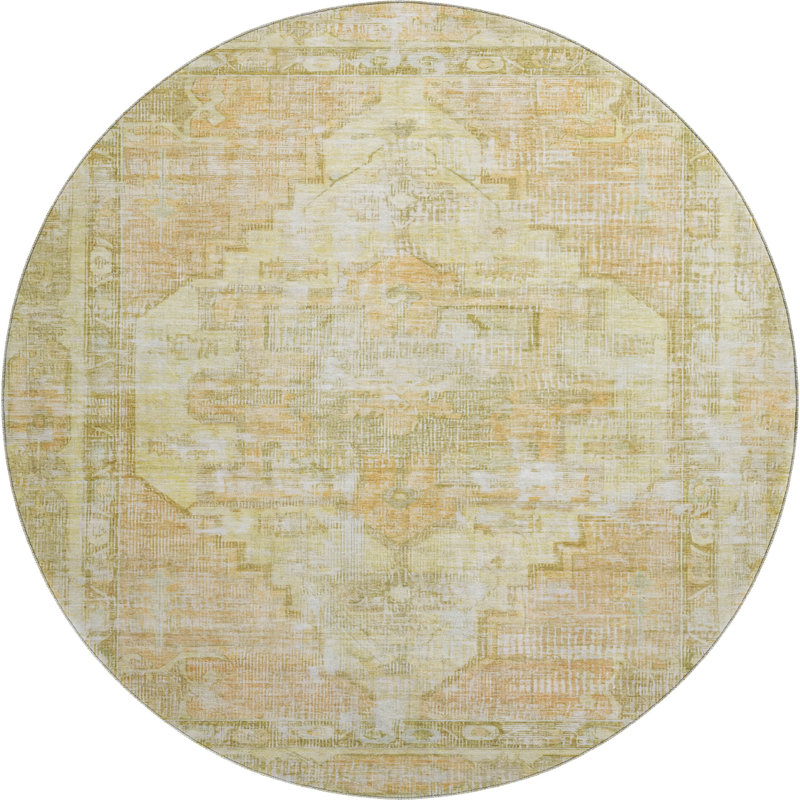 Premium Machine Washable Lucchesi AMF1729 Global Rug, Round 8'