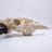 Maryona Bone-Inspired Bull Head Hanging Ornament in Resin Craft-109841987