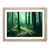 Oak Framed