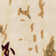 Darryl Abstract Wool Hand Woven Area Rug