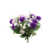 Mauve est en rupture de stock
