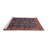 Oriental Indoor Rug-1668021264