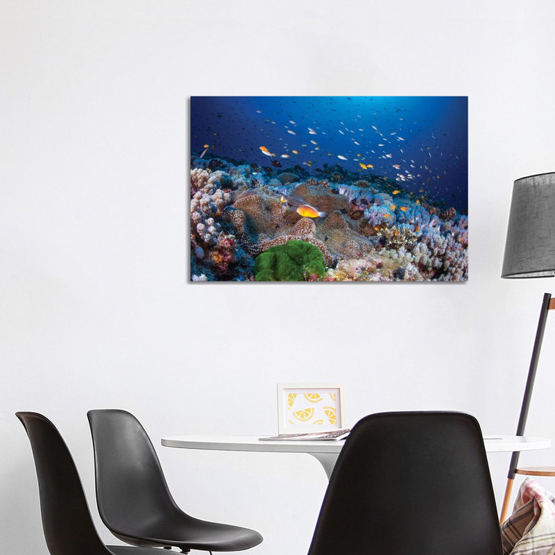 Anemon AndAnthias by Barathieu Gabriel - Wrapped Canvas Print, 101.6 cm H x 66.04 cm W x 1.91 cm D