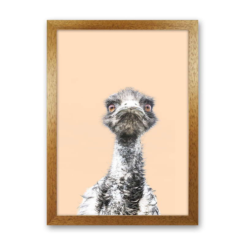 Orange Emu by Victoria Frost - Print, Oak Framed, 34cm H x 25cm W x 3cm D