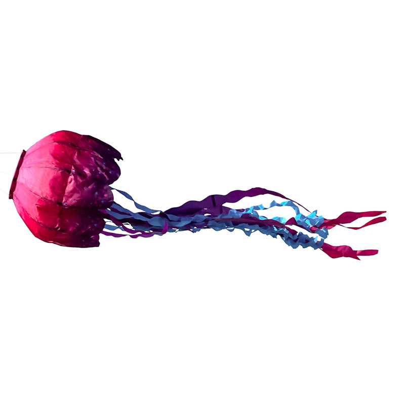 Manche à vent Jellyfish Big Breeze
