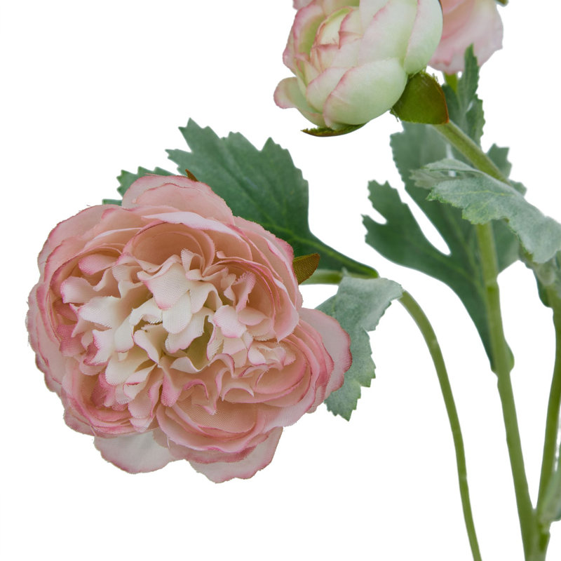 Arrangement