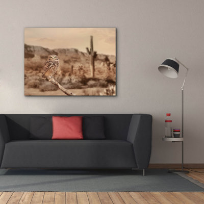 «Epic Graffiti» «Desert Owl» par Lori Deiter, art mural sur toile, 26 po x 18 po