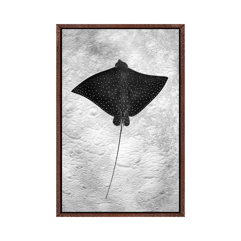 Spotted Eagle Ray Vertical by Jordan Robins - Print on Canvas, Classic Brown Wood Framed, 101.6cm H x 66.04cm W x 3.81cm D