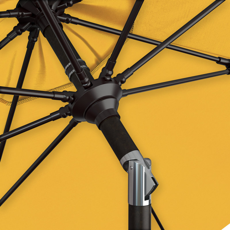 Parasol Brailyn 90, Performance citron