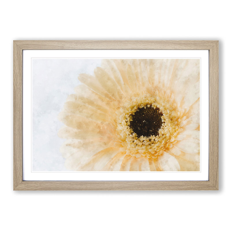 Pale Yellow Gerbera - Single Picture Frame Print on MDF, 62cm H x 87cm W x 2cm D, Oak