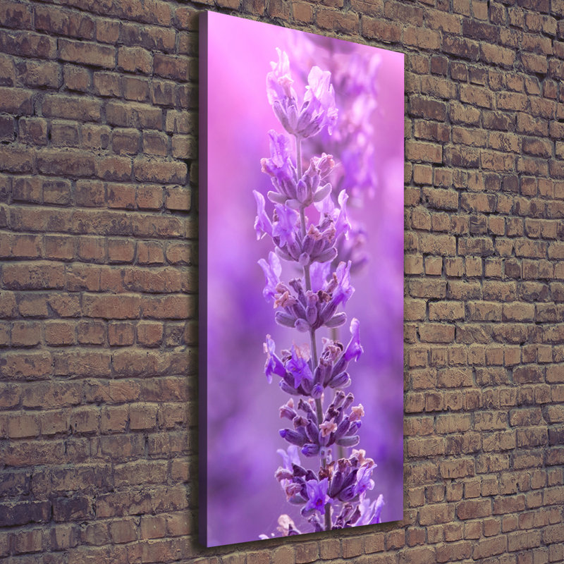 Lavender Field - Wrapped Canvas Print