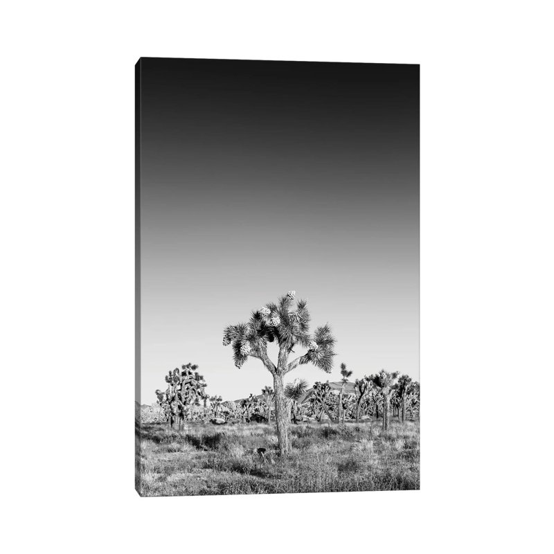 Joshua Trees Monochrome by Melanie Viola - Print on Canvas, 66.04cm H x 45.72cm W x 1.91cm D, Wrapped Canvas