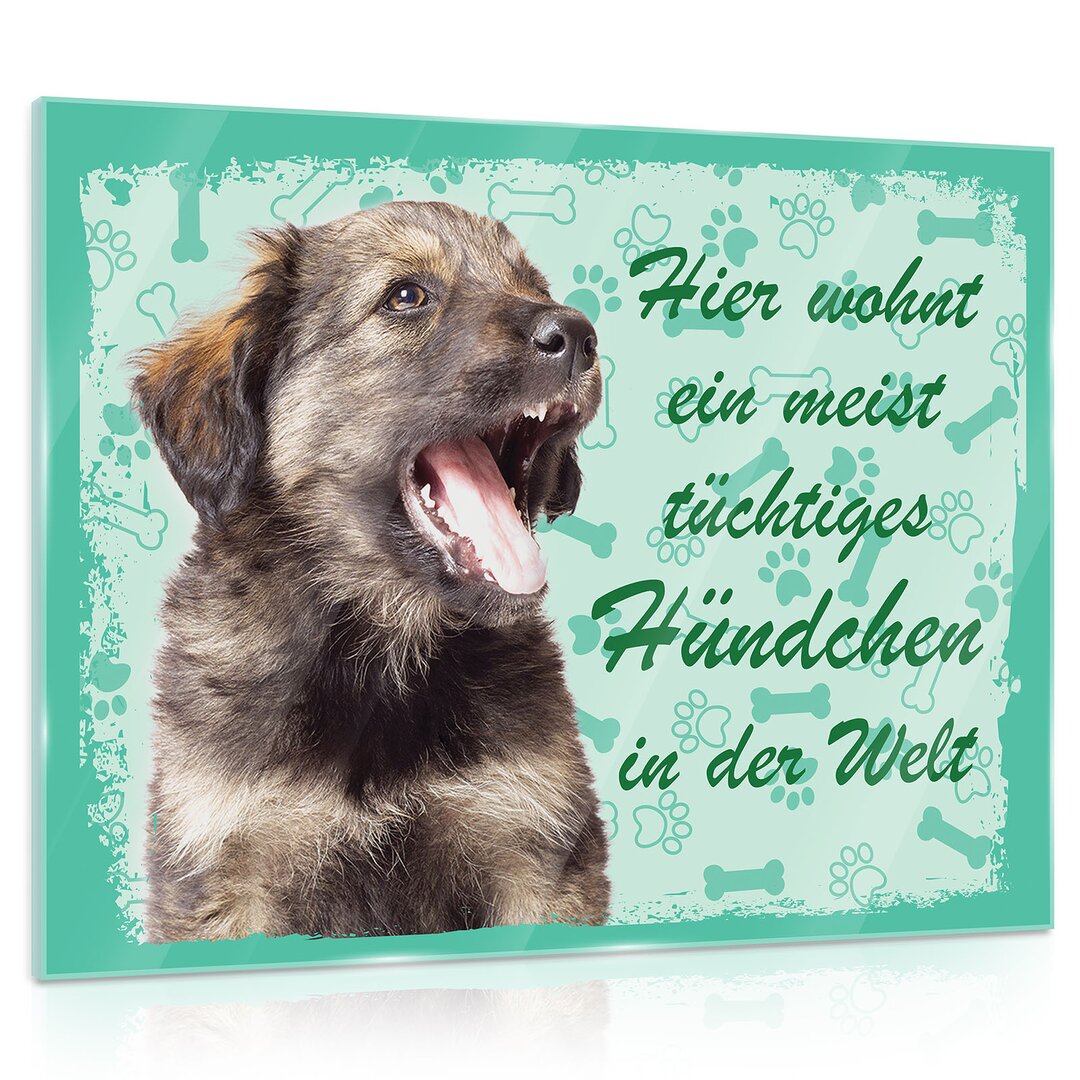 Glasbild Hund