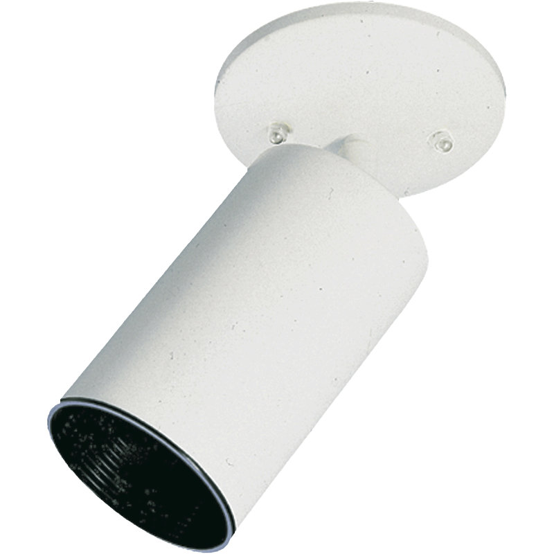 Symple Stuff Spot Light, (1) 60W medium base bulb, White