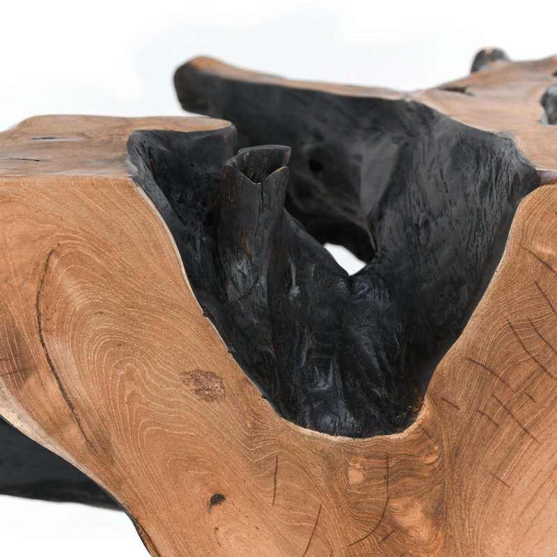 Cypress Root 40" Square Coffee Table Black/Natural