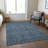 Baney Floral Indoor / Outdoor Rug-405318683