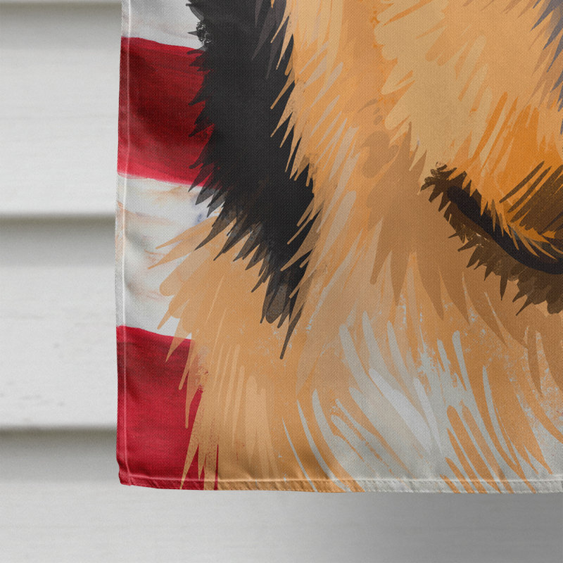 Polyester à 2 côtés 28 x 40 po drapeau maison, Colley à poil long