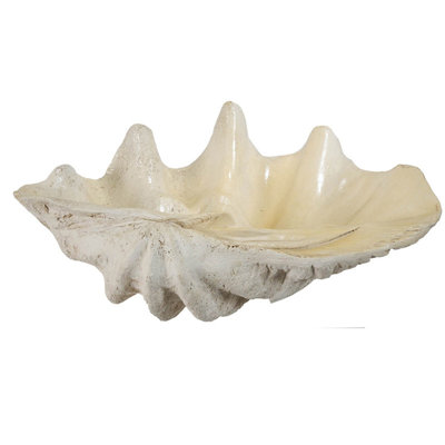 25.3x16.5x8.5" Large Clam Shell Accent