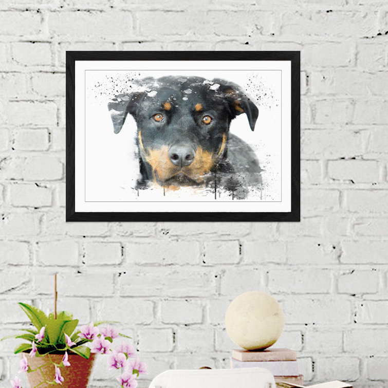 Rottweiler Dog - Wall Art, 45cm H x 62cm W x 3cm D, Black Framed Paper