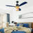 Ceiling Fan with Light Kit-1662170201