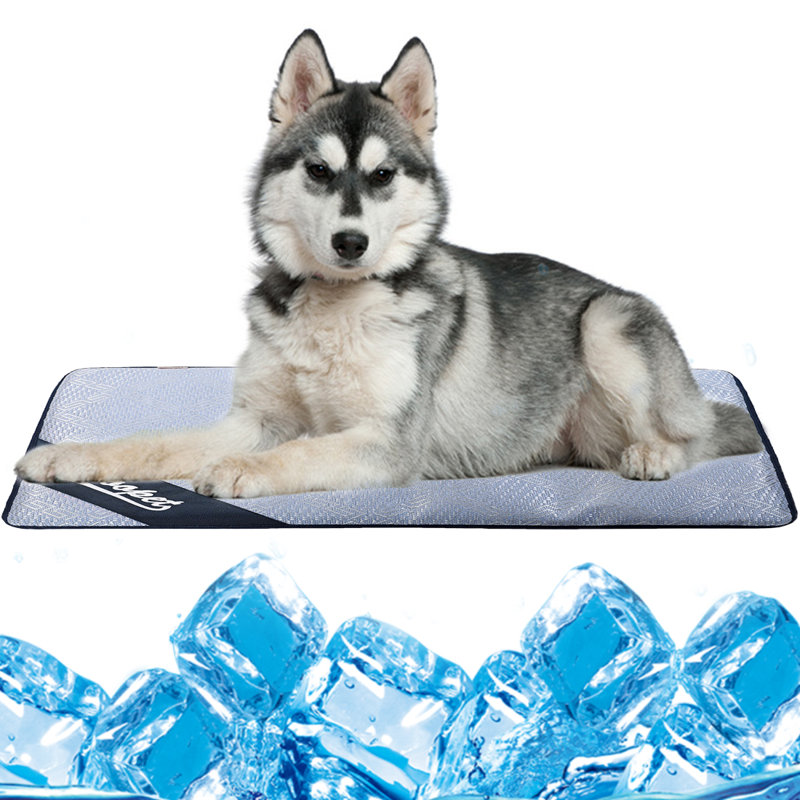 Polyester Pet Bed, 2" H x 48" W x 38" D