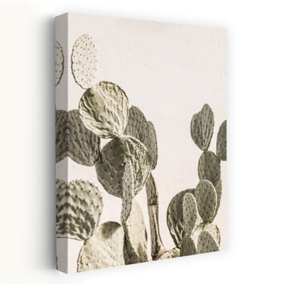 Art contemporain contemporain avec cactus