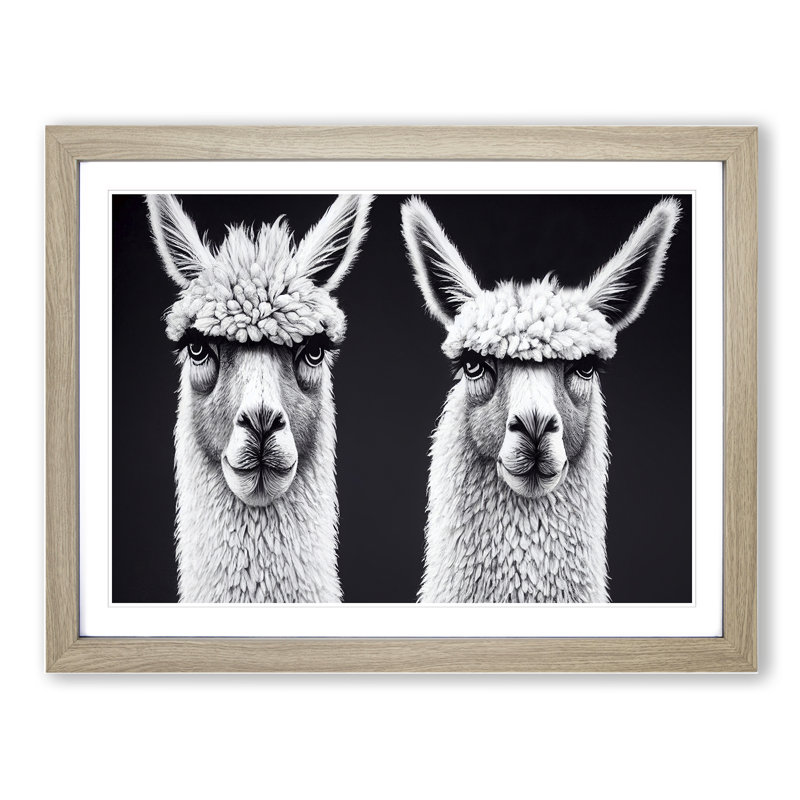 Two Llamas Vol.2 - Single Picture Frame Print, 46cm H x 64cm W x 2cm D, Oak