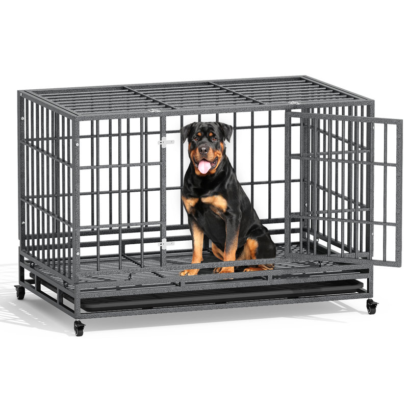 Cage pour chien robuste et indestructible, cage pour chien avec roues verrouillables