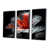 Toile avec cadre flottant noir sélectionné