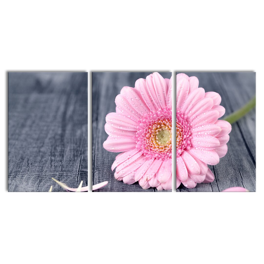 3-tlg. Leinwandbilder-Set Pinke Gerbera auf rustikalem Boden