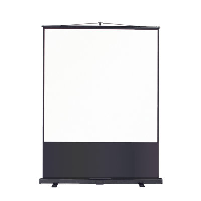 White Manual Projection Screen