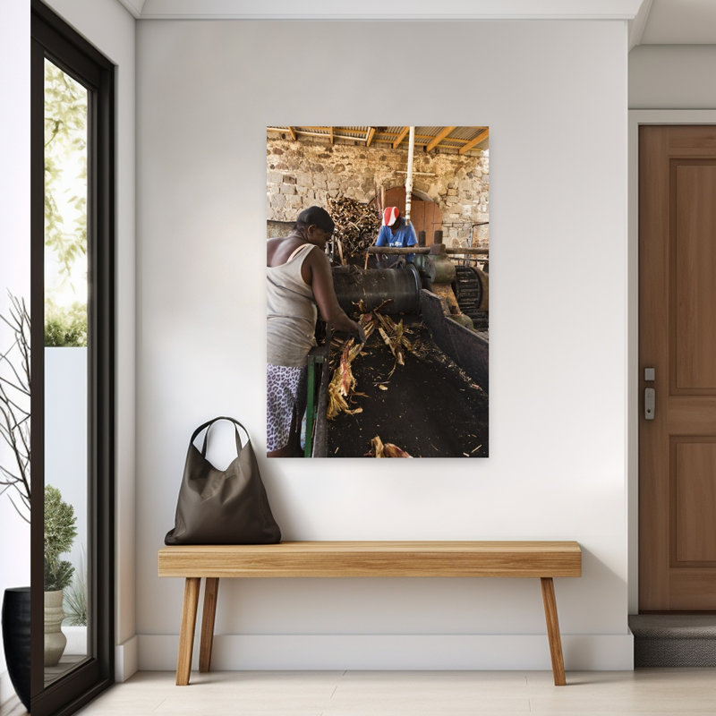 Woman Crushing Sugar Canes In Machine In Macoucherie Rum Distillery Salisbury Dominica by Walter Bibikow - Wrapped Canvas Print