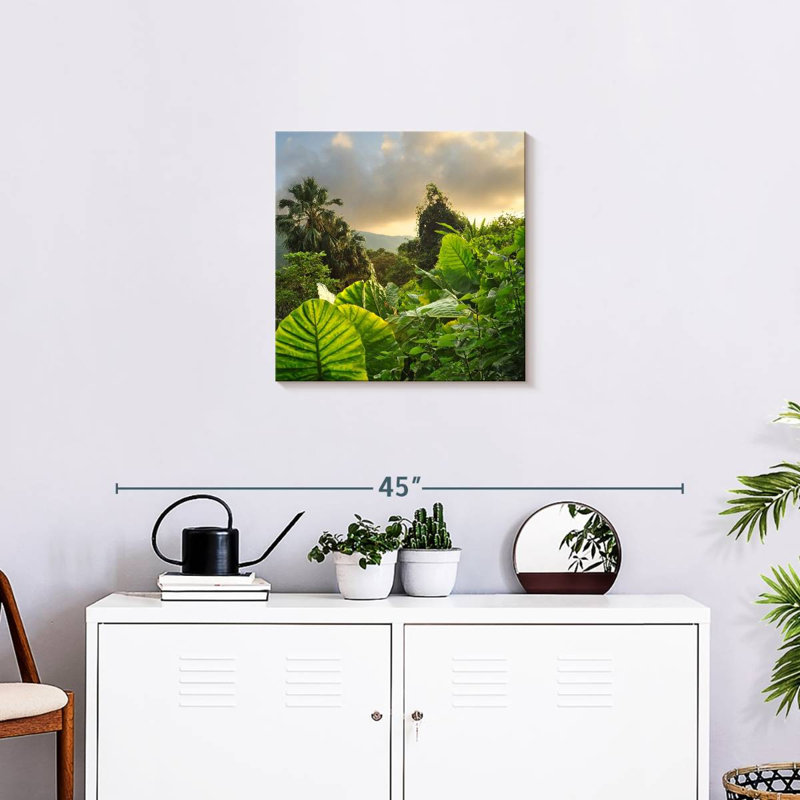Alvord Borneo Rainforest, 20" H x 20" W