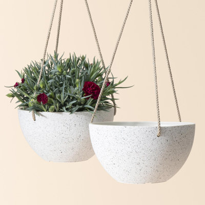 Boxdale 13" Hanging Planter
