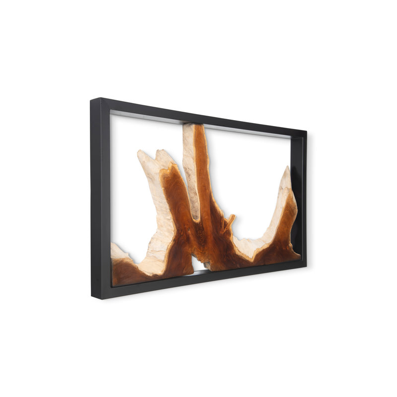 Framed Root Wall Décor
