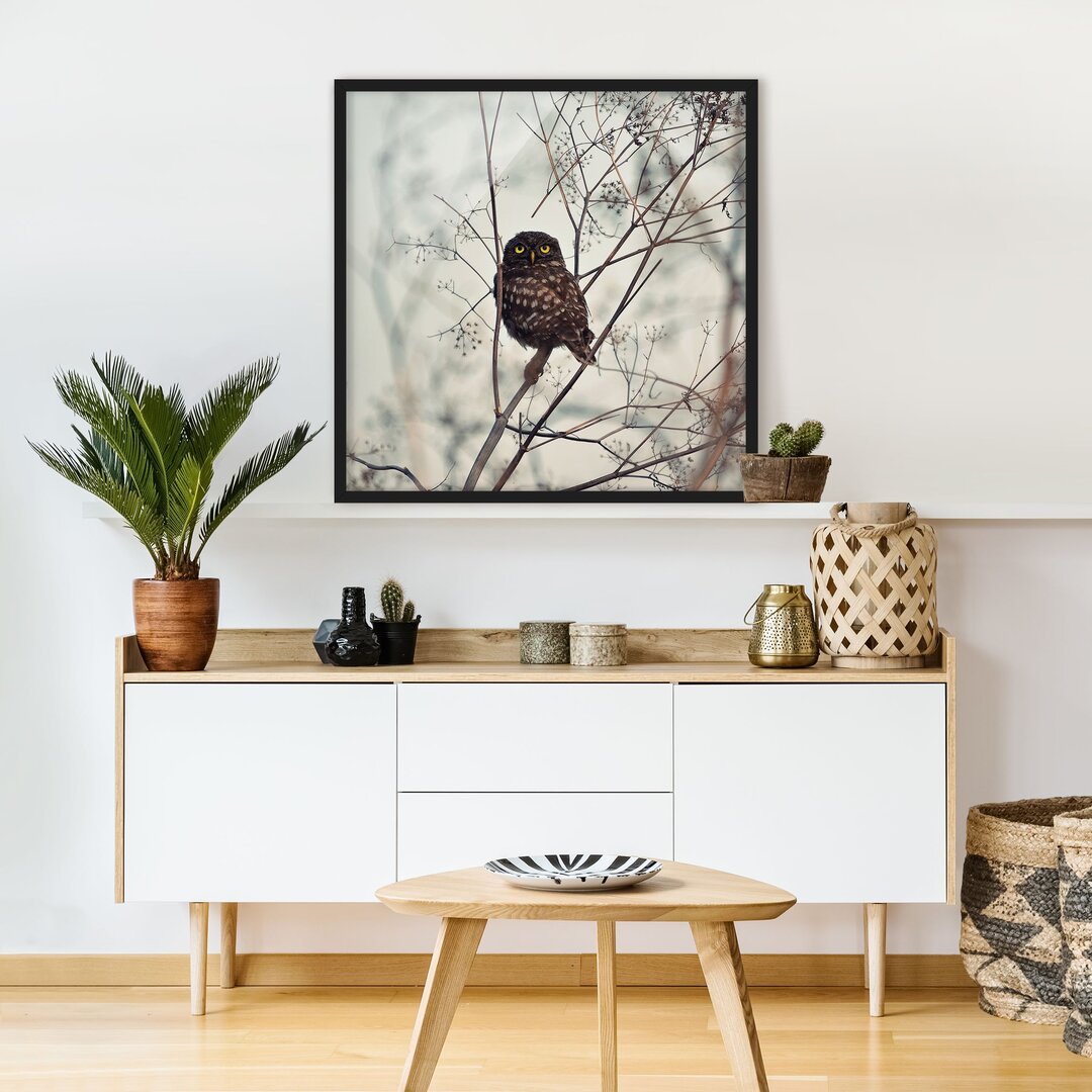 Gerahmtes Poster Owl in Winter