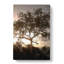Leopard Siesta - Wrapped Canvas-55365848
