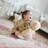Dadada Muse Toddler Bed Fits Crib Mattress-77322606