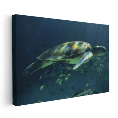 «Aegean Sea Turtles I», reproduction d'art sur toile