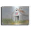«Beautiful For Spacieux Skies» par Kamdon Kreations-1310287073