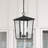 Atlas 2-Light Black Outdoor Hanging Lantern Chandelier with Clear Glass